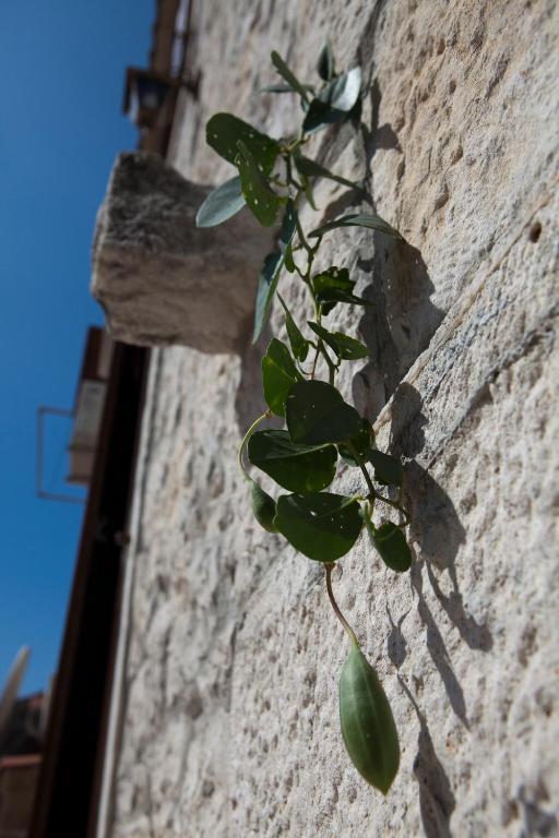 Villa Donna Trogir Exterior foto